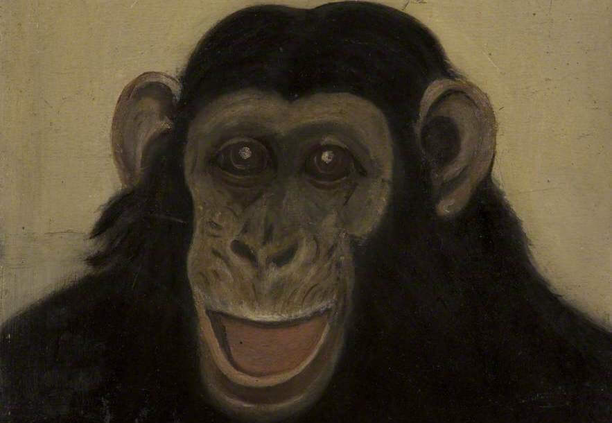 Head of an ape