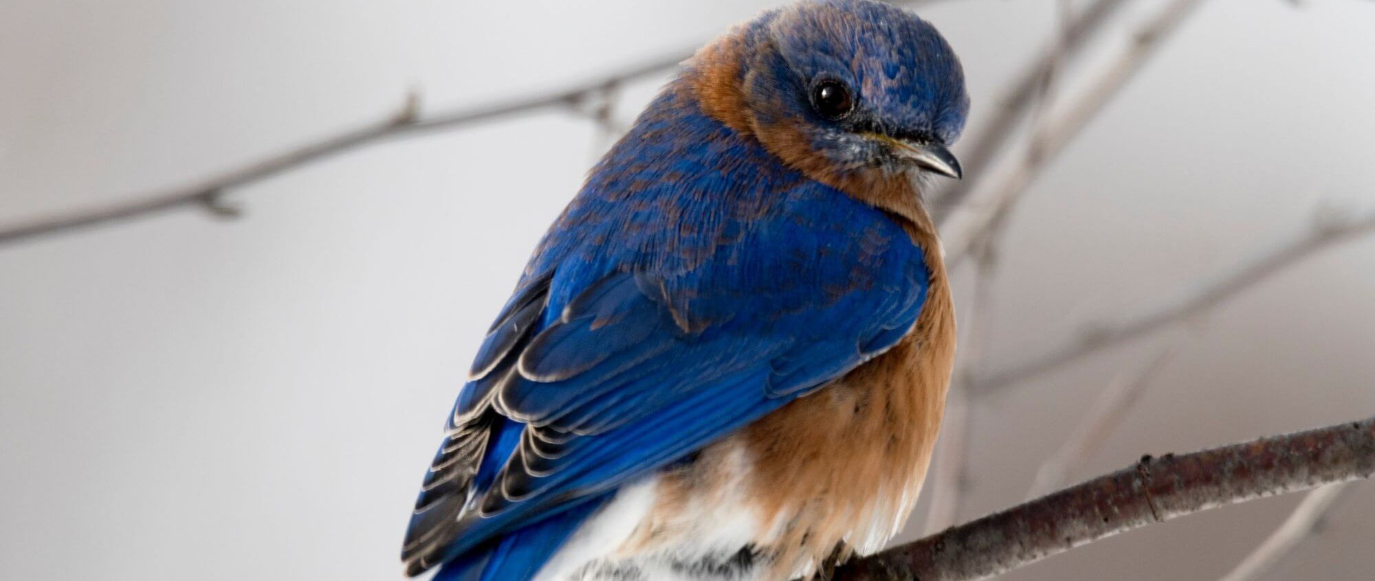 Photo by Tina Nord from Pexels