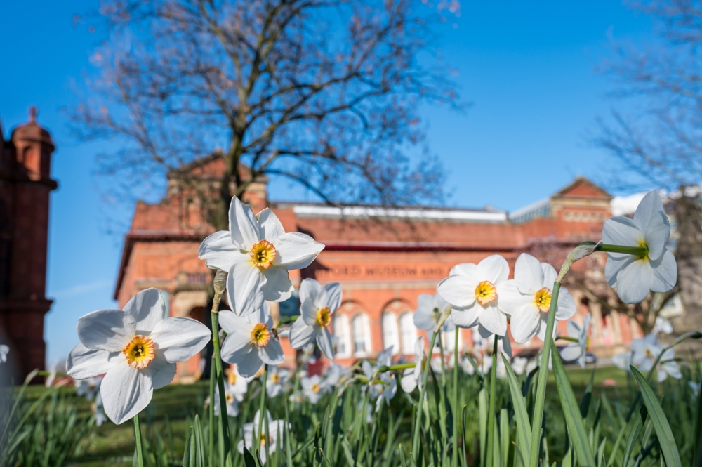 Photography - Nick Harrison