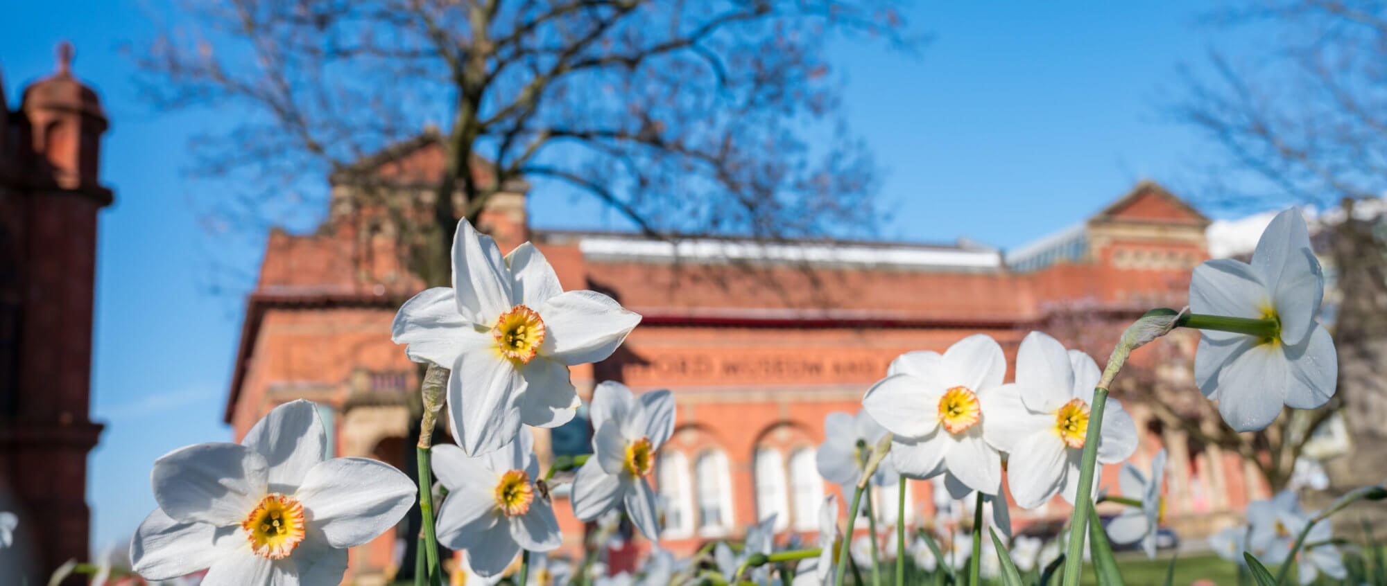 Photography - Nick Harrison