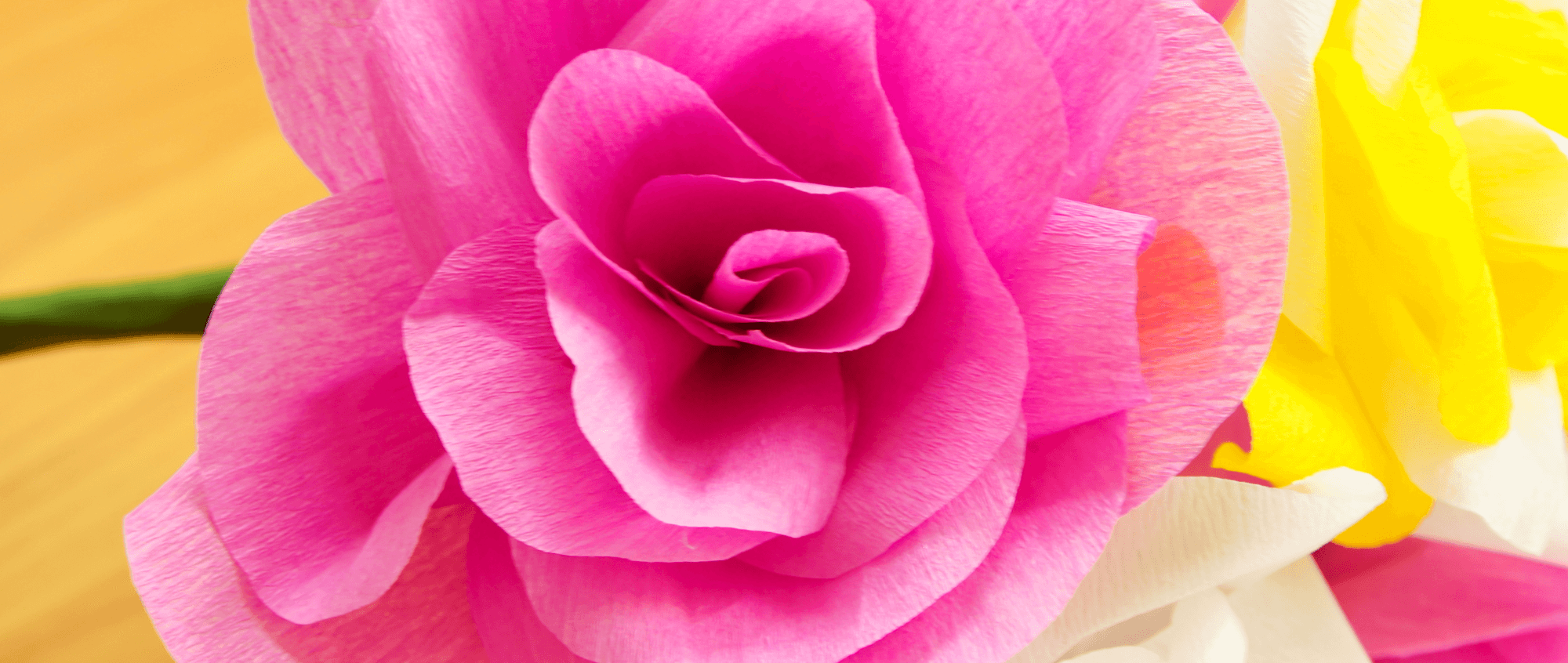 Craft Social Crepe Paper Flowers Salford Museum & Art Gallery