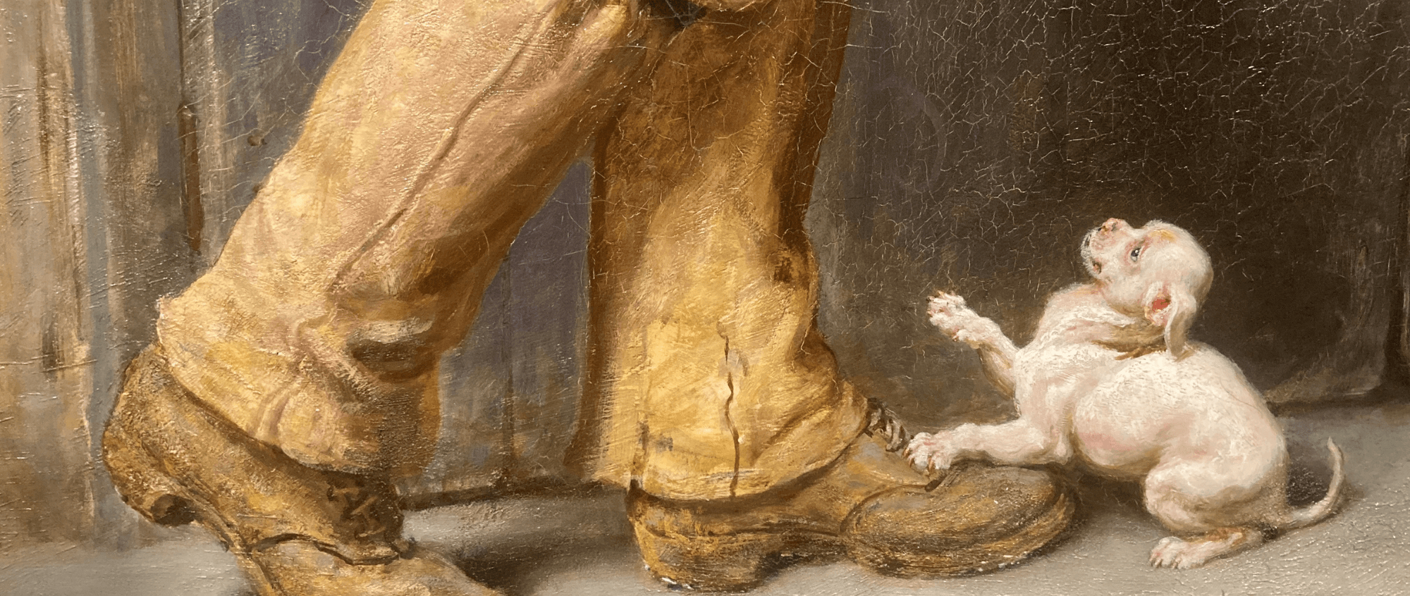 After Animals Gallery Tour