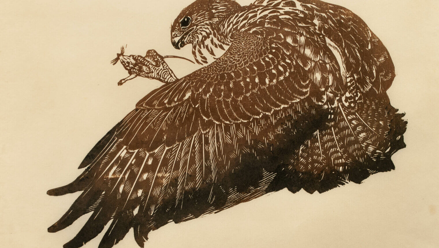 A woodcut of a buzzard, a large brown bird, holding a mouse in its claws.
