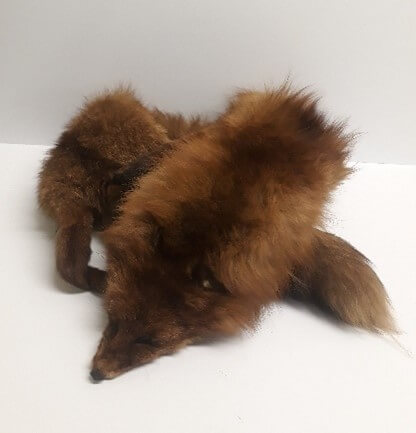 A fox fur wrap. The fur is orange and long, you can still see the face legs and tail of the fox.