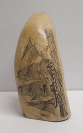 A sperm tail tooth engraved with the image of a boat with large sails on the water.