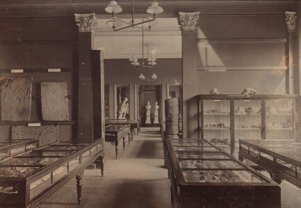A room full of display cases containing geology specimens.