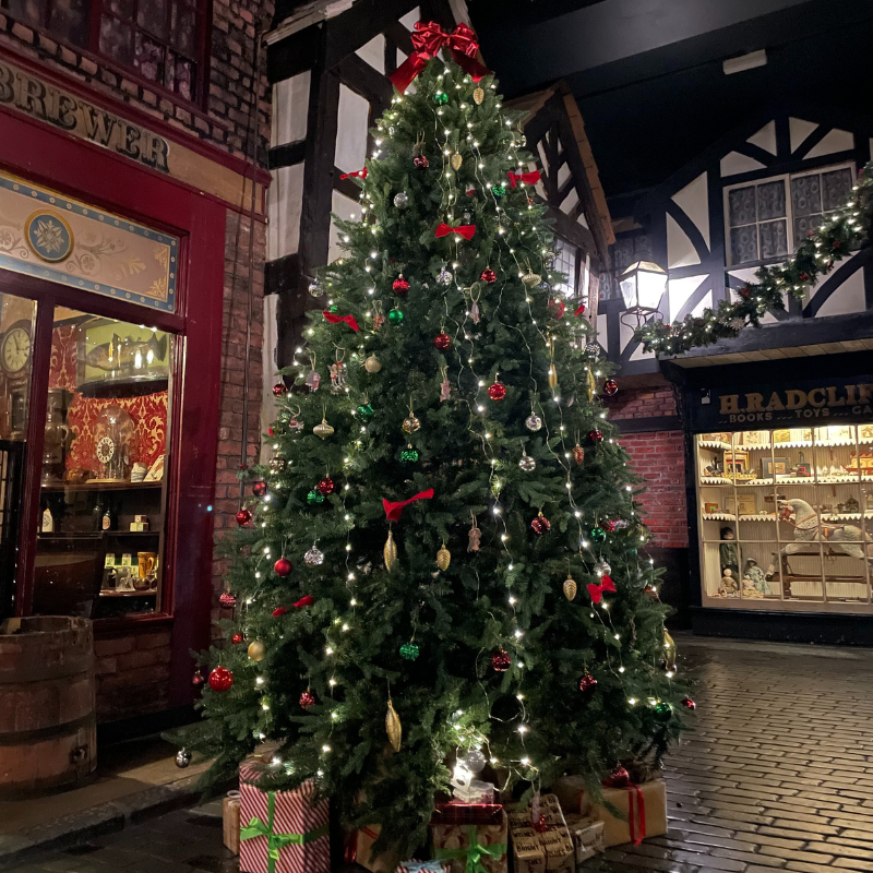 Christmas Tree on Lark Hill Place