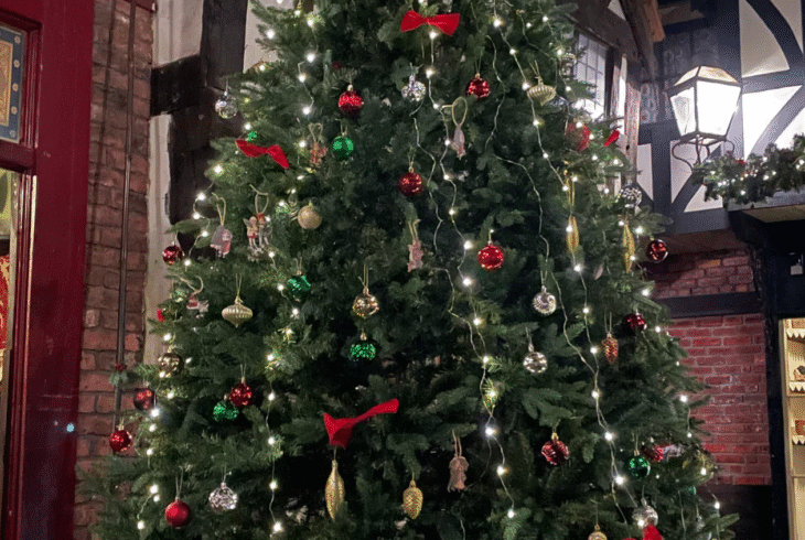 Christmas Tree on Lark Hill Place