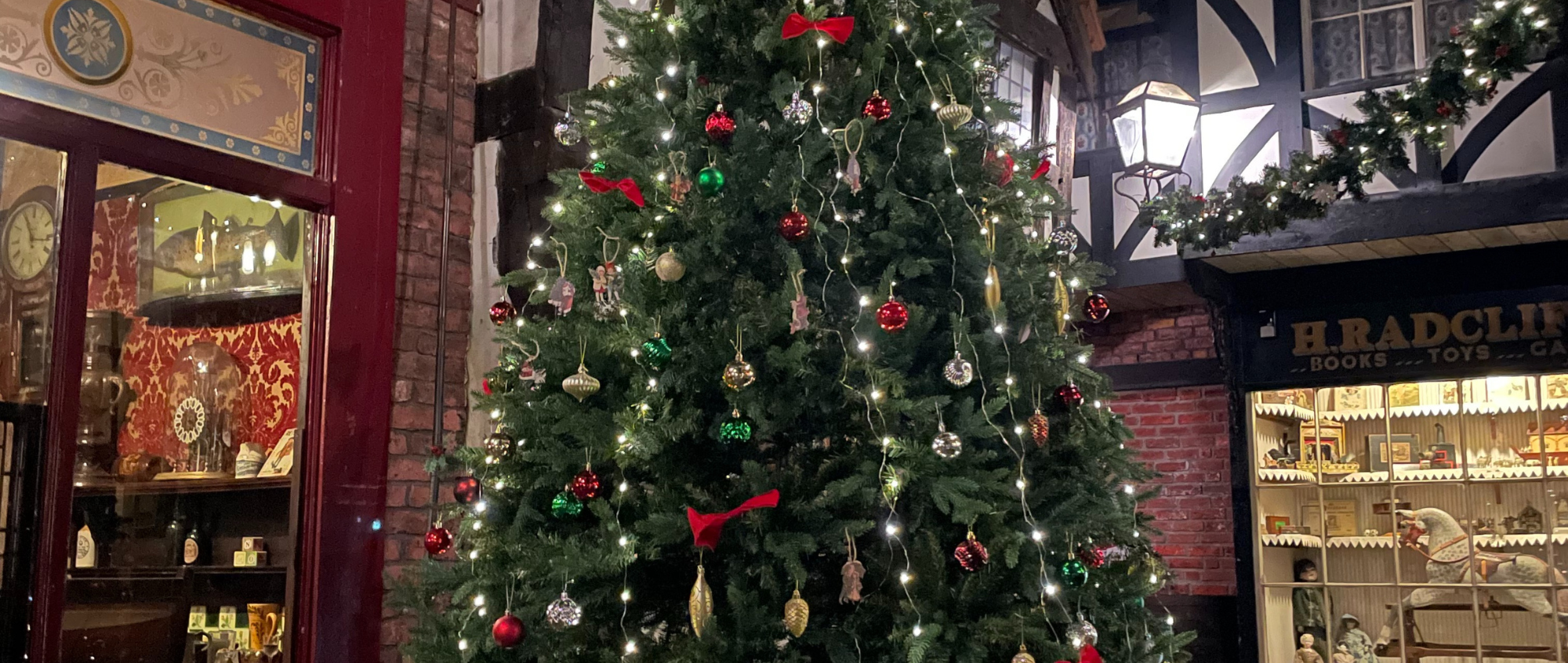 Christmas Tree on Lark Hill Place