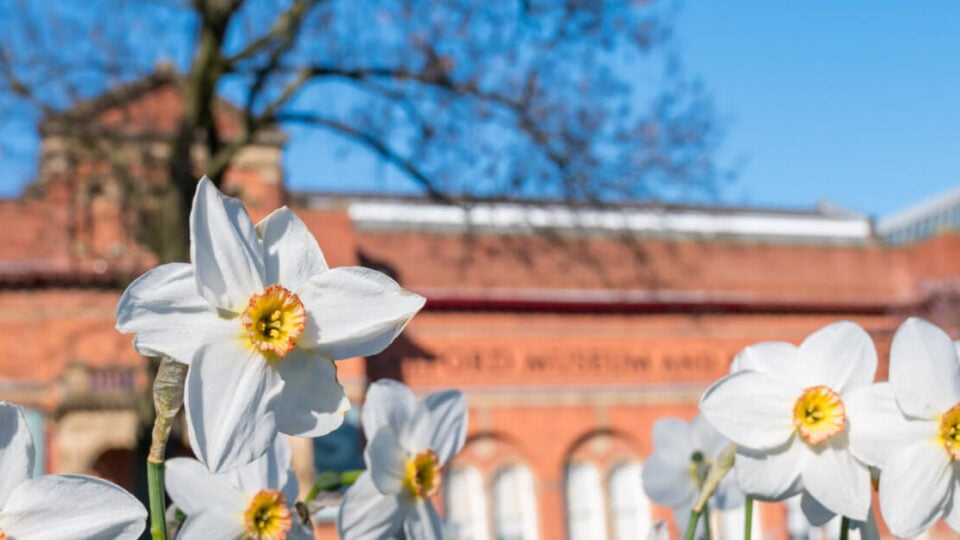 Careers at Salford Museum &amp; Art Gallery