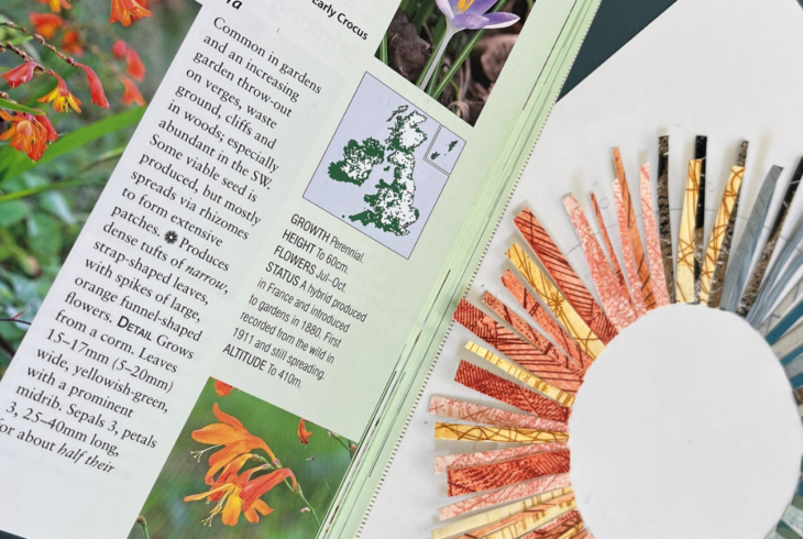 Kairos Botanical Collage