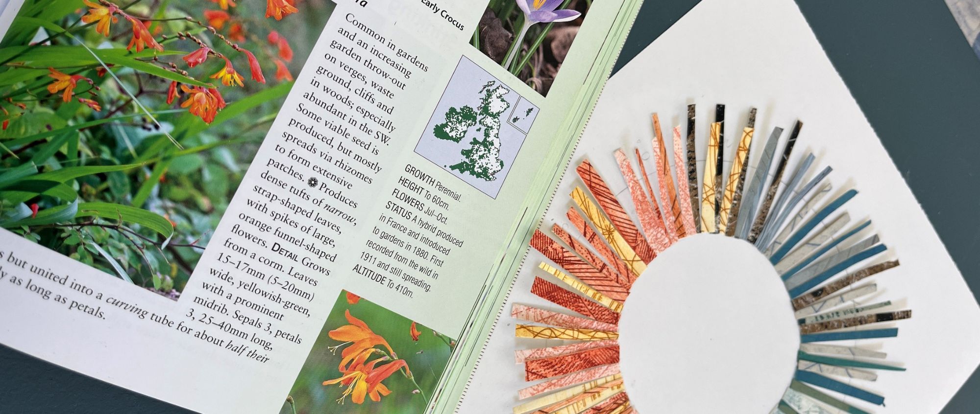 Kairos Botanical Collage